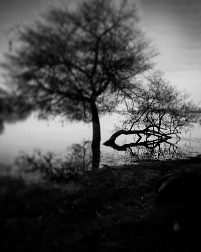 Life and shadows