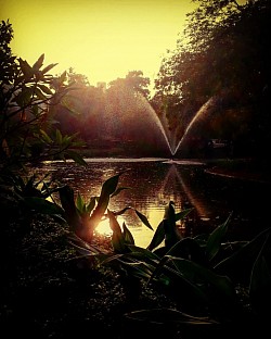Life wasn't easy..... but we still made it before sunset