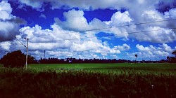 Days were cloudy..... and so did the life also had it's blues